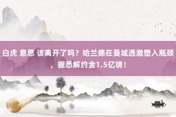 白虎 意思 该离开了吗？哈兰德在曼城透澈堕入瓶颈，据悉解约金1.5亿镑！