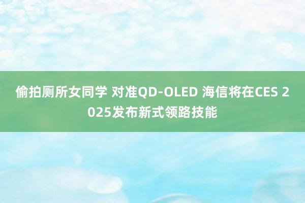 偷拍厕所女同学 对准QD-OLED 海信将在CES 2025发布新式领路技能