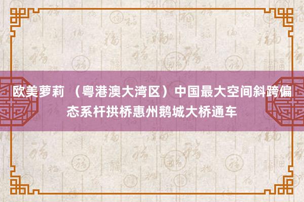 欧美萝莉 （粤港澳大湾区）中国最大空间斜跨偏态系杆拱桥惠州鹅城大桥通车