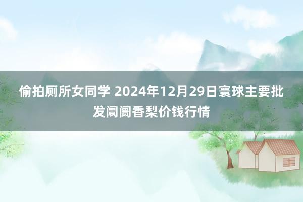 偷拍厕所女同学 2024年12月29日寰球主要批发阛阓香梨价钱行情