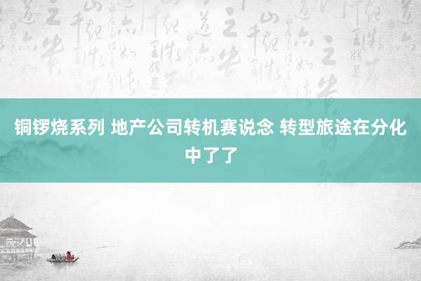 铜锣烧系列 地产公司转机赛说念 转型旅途在分化中了了