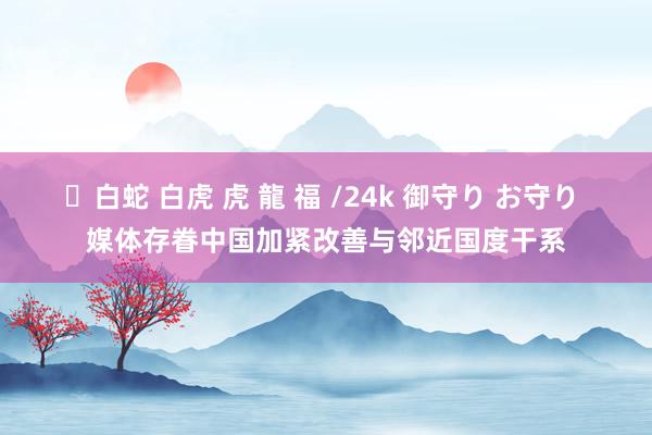 ✨白蛇 白虎 虎 龍 福 /24k 御守り お守り 媒体存眷中国加紧改善与邻近国度干系