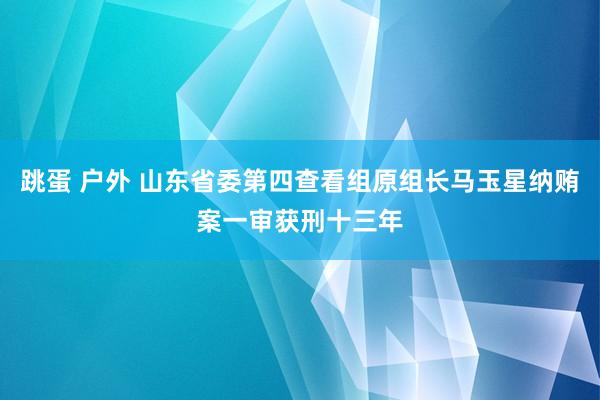 跳蛋 户外 山东省委第四查看组原组长马玉星纳贿案一审获刑十三年