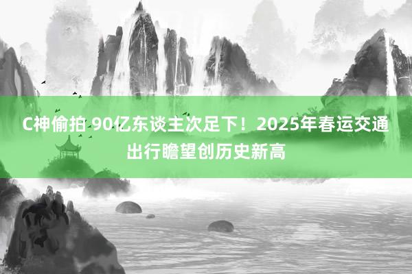 C神偷拍 90亿东谈主次足下！2025年春运交通出行瞻望创历史新高