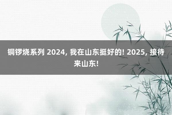 铜锣烧系列 2024， 我在山东挺好的! 2025， 接待来山东!