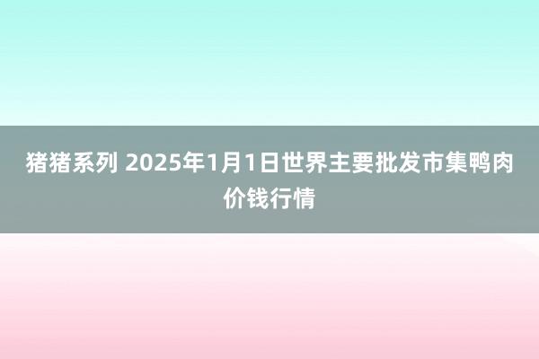 猪猪系列 2025年1月1日世界主要批发市集鸭肉价钱行情