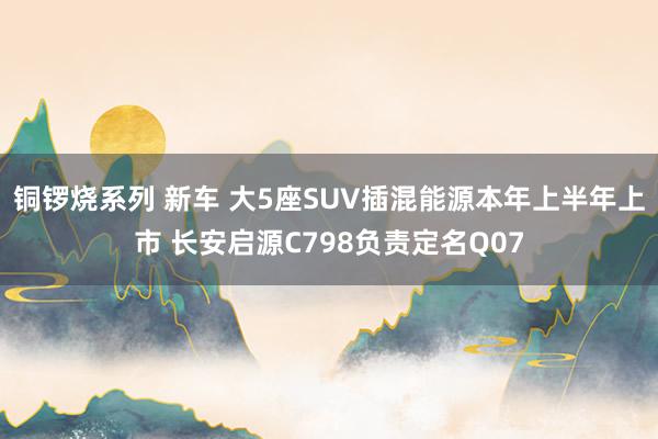 铜锣烧系列 新车 大5座SUV插混能源本年上半年上市 长安启源C798负责定名Q07