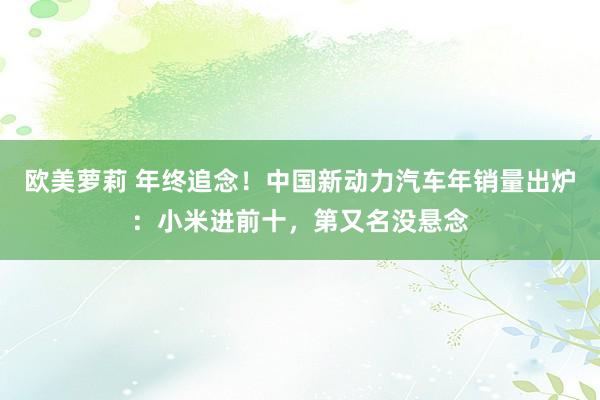 欧美萝莉 年终追念！中国新动力汽车年销量出炉：小米进前十，第又名没悬念