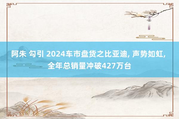 阿朱 勾引 2024车市盘货之比亚迪， 声势如虹， 全年总销量冲破427万台