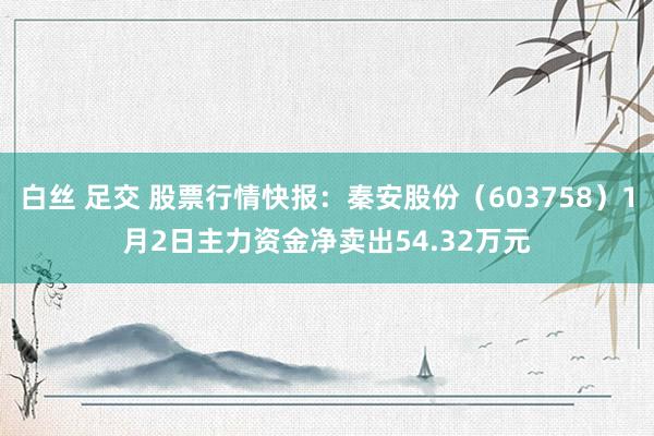 白丝 足交 股票行情快报：秦安股份（603758）1月2日主力资金净卖出54.32万元