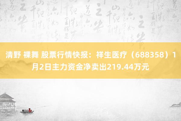 清野 裸舞 股票行情快报：祥生医疗（688358）1月2日主力资金净卖出219.44万元