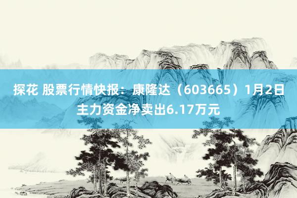 探花 股票行情快报：康隆达（603665）1月2日主力资金净卖出6.17万元