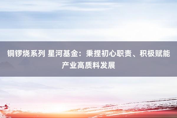 铜锣烧系列 星河基金：秉捏初心职责、积极赋能产业高质料发展