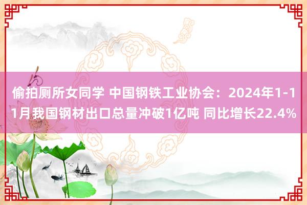 偷拍厕所女同学 中国钢铁工业协会：2024年1-11月我国钢材出口总量冲破1亿吨 同比增长22.4%