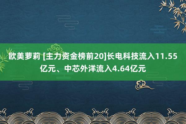 欧美萝莉 [主力资金榜前20]长电科技流入11.55亿元、中芯外洋流入4.64亿元