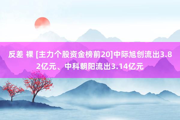 反差 裸 [主力个股资金榜前20]中际旭创流出3.82亿元、中科朝阳流出3.14亿元