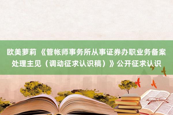 欧美萝莉 《管帐师事务所从事证券办职业务备案处理主见（调动征求认识稿）》公开征求认识