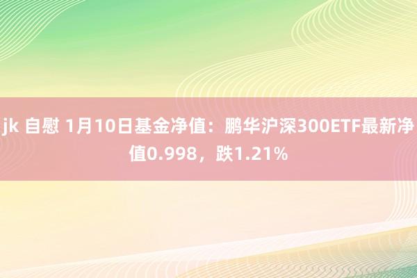 jk 自慰 1月10日基金净值：鹏华沪深300ETF最新净值0.998，跌1.21%