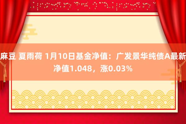 麻豆 夏雨荷 1月10日基金净值：广发景华纯债A最新净值1.048，涨0.03%