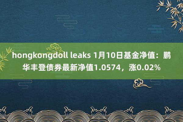 hongkongdoll leaks 1月10日基金净值：鹏华丰登债券最新净值1.0574，涨0.02%