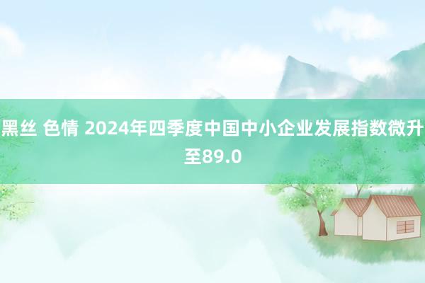 黑丝 色情 2024年四季度中国中小企业发展指数微升至89.0