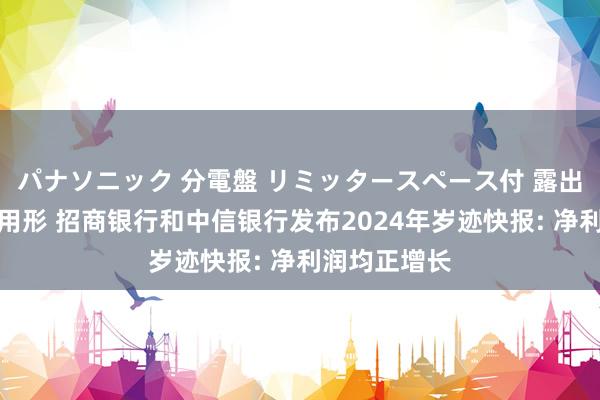 パナソニック 分電盤 リミッタースペース付 露出・半埋込両用形 招商银行和中信银行发布2024年岁迹快报: 净利润均正增长