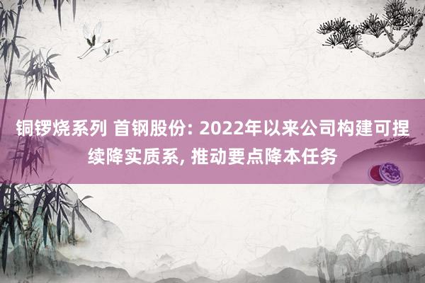 铜锣烧系列 首钢股份: 2022年以来公司构建可捏续降实质系， 推动要点降本任务