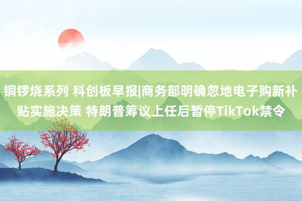 铜锣烧系列 科创板早报|商务部明确忽地电子购新补贴实施决策 特朗普筹议上任后暂停TikTok禁令